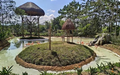 Bioparque Ukumarí | liverisaralda.com